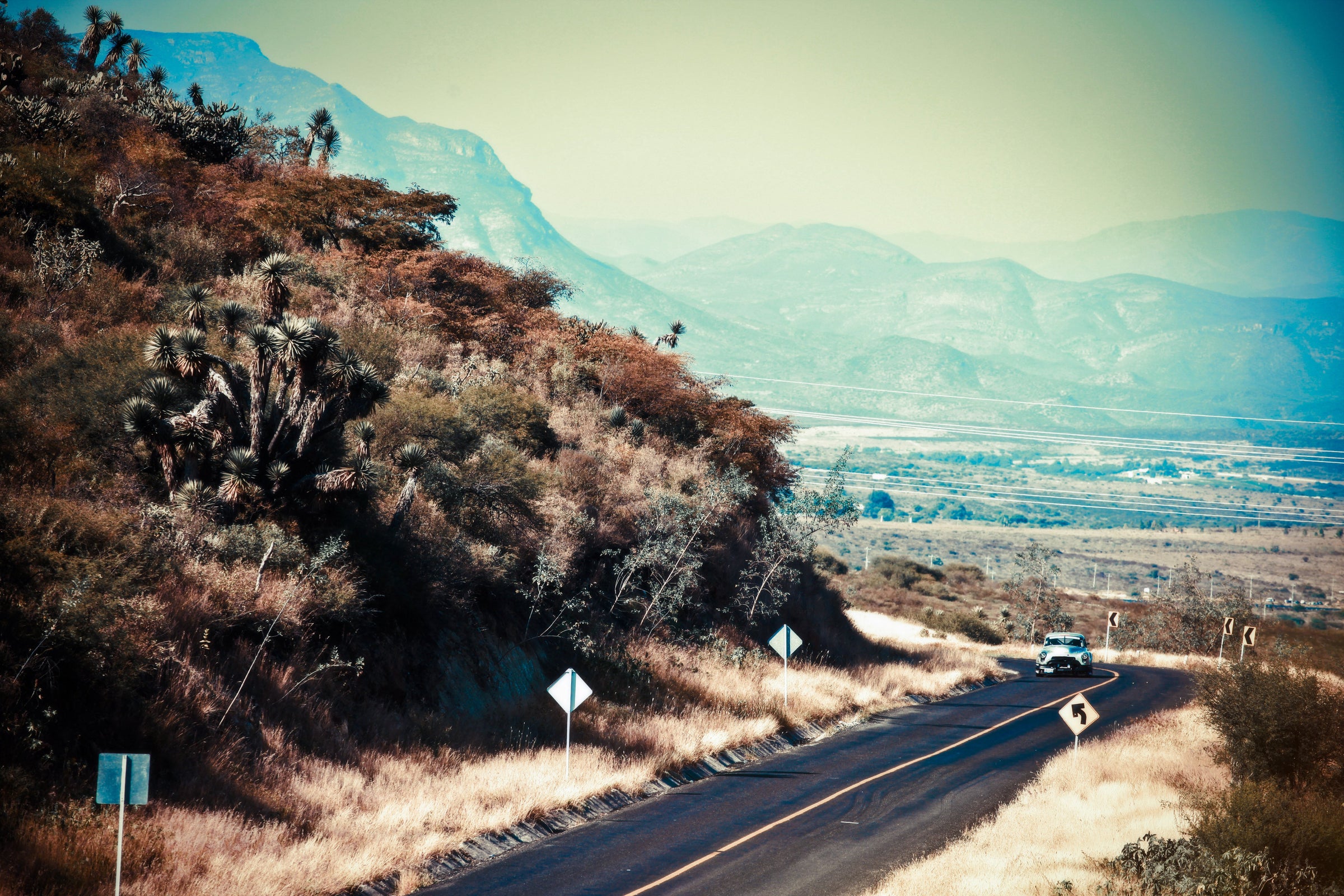 La Carrera Panamericana