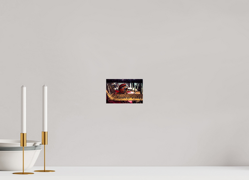 15 x 10 cm, Photo Print On Fuji Crystal DP II Dirt Track Helmet